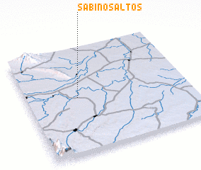 3d view of Sabinos Altos