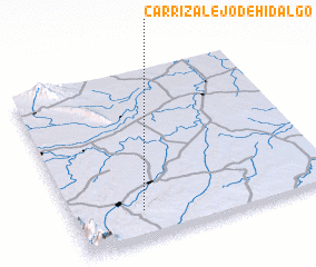 3d view of Carrizalejo de Hidalgo