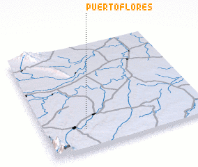 3d view of Puerto Flores