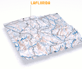 3d view of La Florida