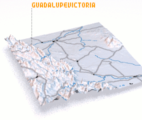 3d view of Guadalupe Victoria