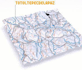 3d view of Totoltepec de la Paz