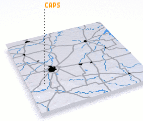 3d view of Caps