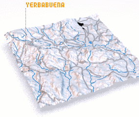 3d view of Yerbabuena