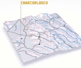 3d view of Charco Blanco