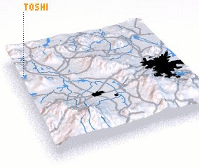 3d view of Toshi