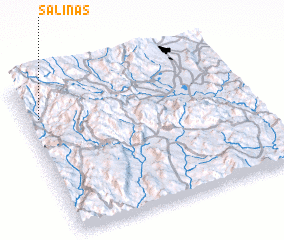 3d view of Salinas