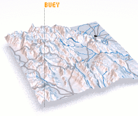 3d view of Buey