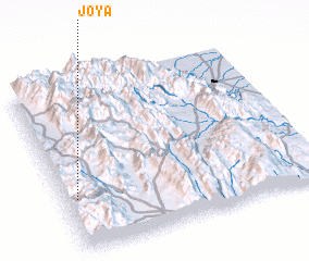 3d view of Joya
