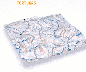 3d view of Tortugas