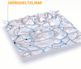 3d view of San Miguel Tolimán