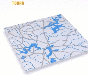 3d view of Toman
