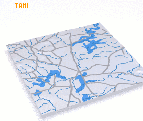 3d view of Tami