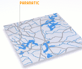 3d view of Paranatic