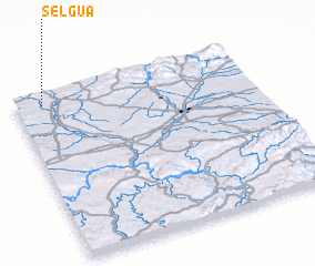 3d view of Selgua