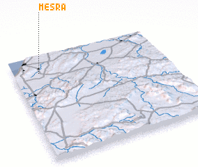 3d view of Mesra