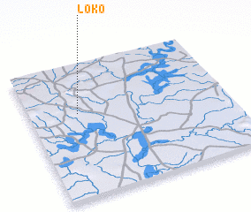 3d view of Loko