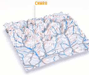 3d view of Charo