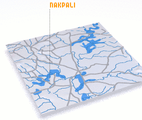 3d view of Nakpali
