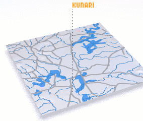 3d view of Kunari