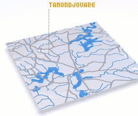 3d view of Tamondjouaré