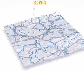 3d view of Suchs