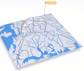 3d view of Pongo