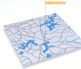 3d view of Nabouakou