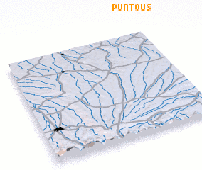 3d view of Puntous