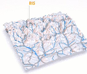 3d view of Ris