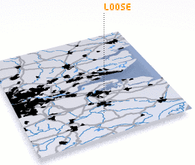 3d view of Loose