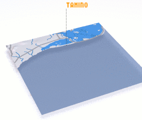 3d view of Tamino