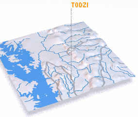 3d view of Todzi