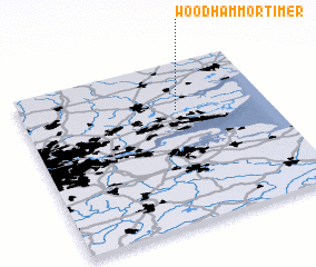 3d view of Woodham Mortimer
