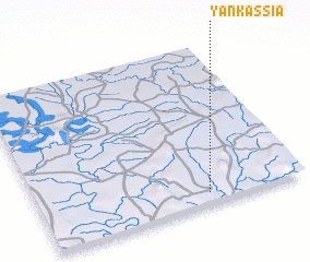 3d view of Yankassia