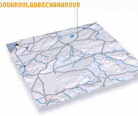 3d view of Douar Oulad Bechaharour