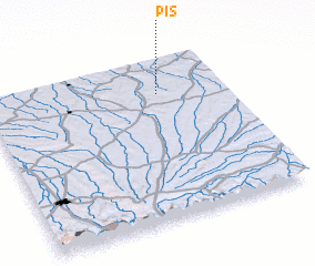 3d view of Pis