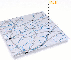 3d view of Mâle