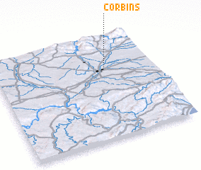 3d view of Corbíns