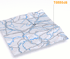 3d view of Torroja