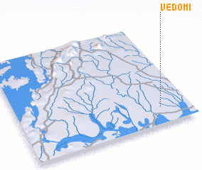 3d view of Vedomi