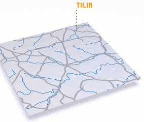 3d view of Tilim