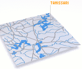 3d view of Tamissari