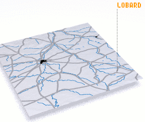 3d view of Lobard