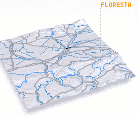 3d view of Floresta