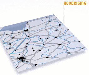 3d view of Woodrising