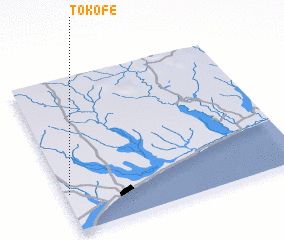 3d view of Tokofe