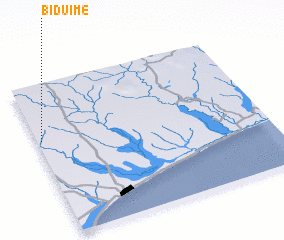 3d view of Biduimé