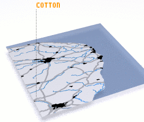 3d view of Cotton