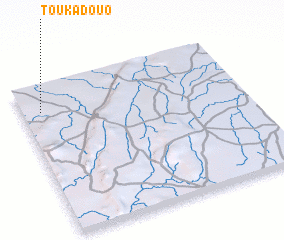 3d view of Toukadouo